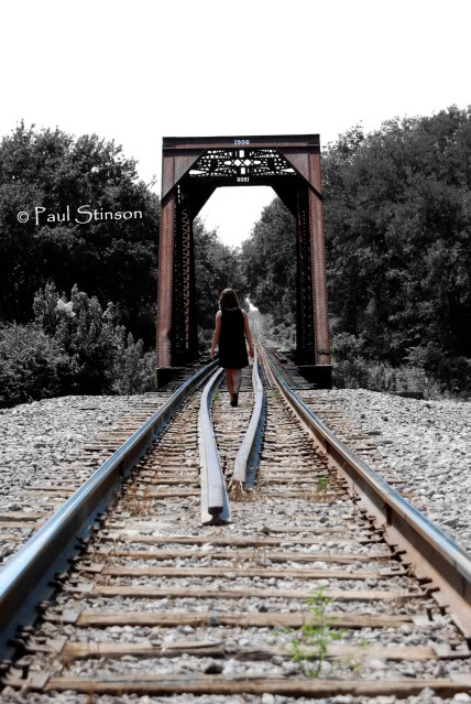 Name:  DSC_1303.jpg
Views: 57
Size:  93.6 KB