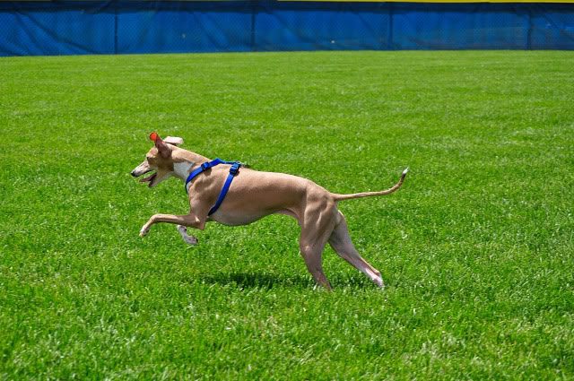 Name:  DSC_0015-1.jpg
Views: 25
Size:  140.7 KB