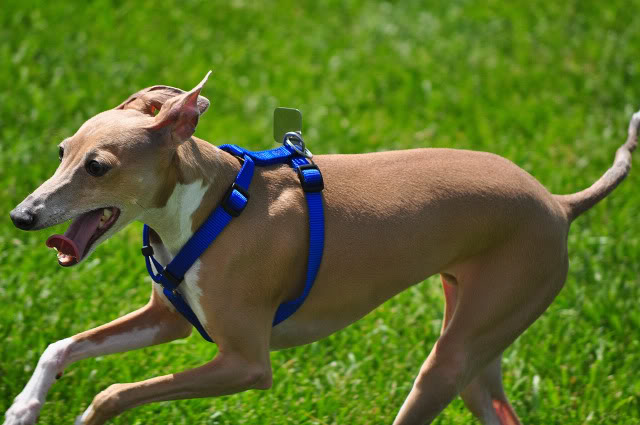 Name:  DSC_0071.jpg
Views: 51
Size:  94.2 KB