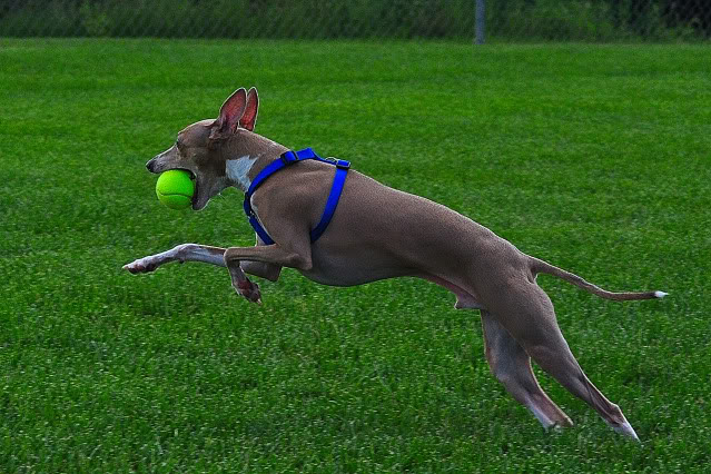 Name:  CSC_0082.jpg
Views: 59
Size:  129.4 KB