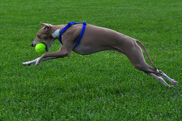 Name:  CSC_0081.jpg
Views: 61
Size:  143.1 KB