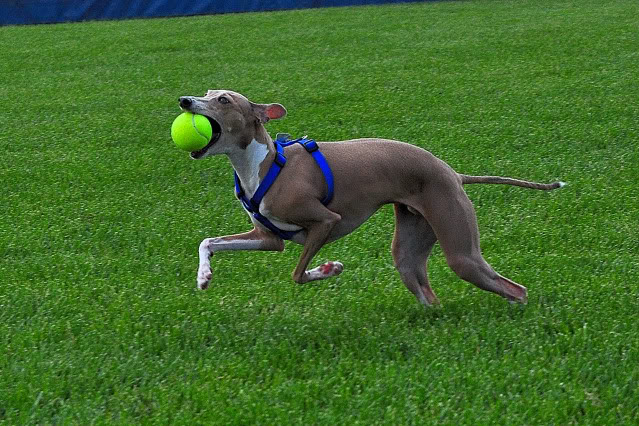 Name:  CSC_0080.jpg
Views: 39
Size:  144.4 KB