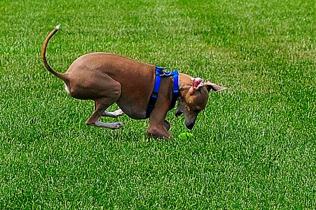 Name:  CSC_0077.jpg
Views: 47
Size:  201.3 KB