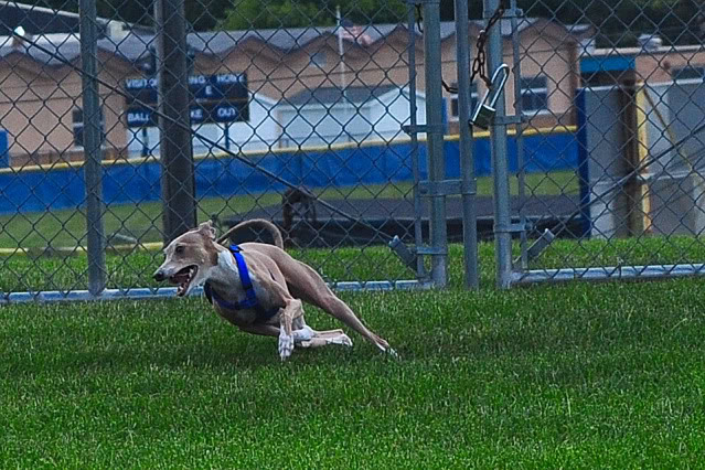 Name:  CSC_0083.jpg
Views: 69
Size:  151.7 KB