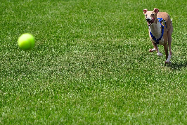 Name:  CSC_0085.jpg
Views: 29
Size:  172.3 KB