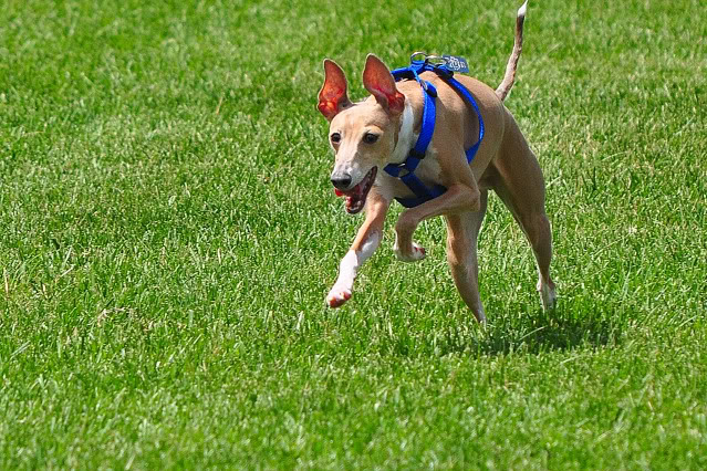 Name:  CSC_0086.jpg
Views: 21
Size:  177.6 KB