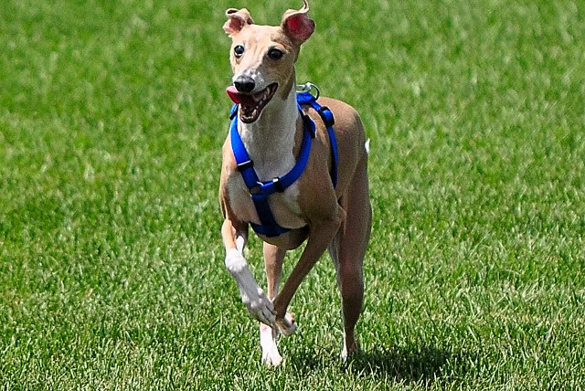 Name:  CSC_0084.jpg
Views: 68
Size:  168.6 KB