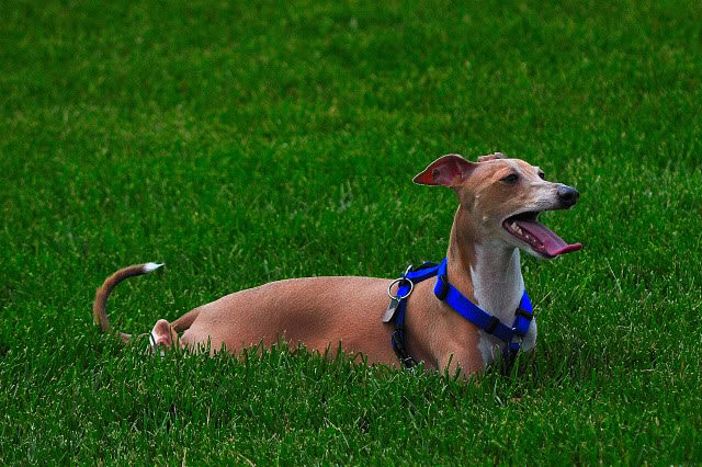 Name:  CSC_0073.jpg
Views: 61
Size:  136.1 KB