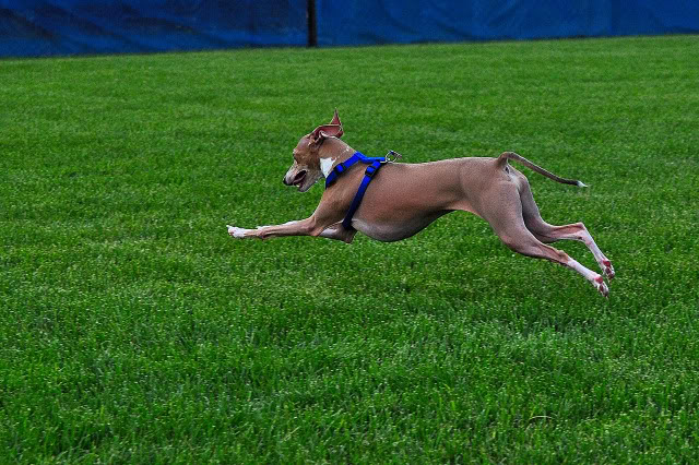 Name:  CSC_0072.jpg
Views: 110
Size:  143.3 KB