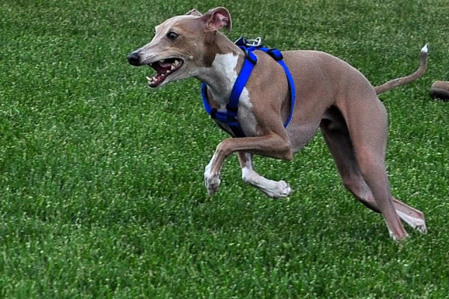 Name:  CSC_0078.jpg
Views: 32
Size:  149.5 KB