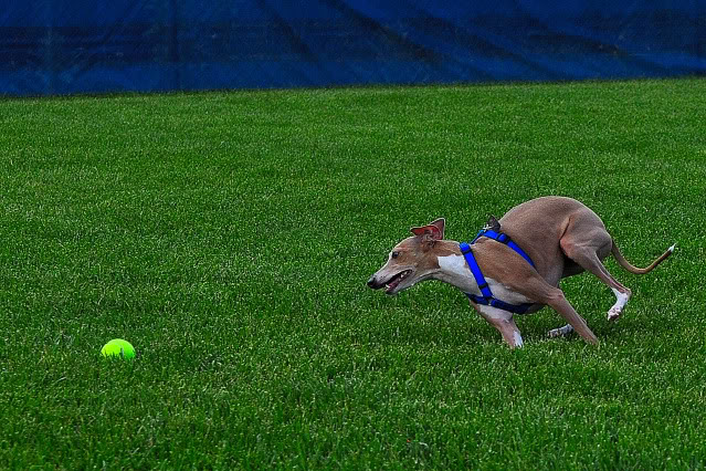 Name:  CSC_0079.jpg
Views: 61
Size:  154.3 KB