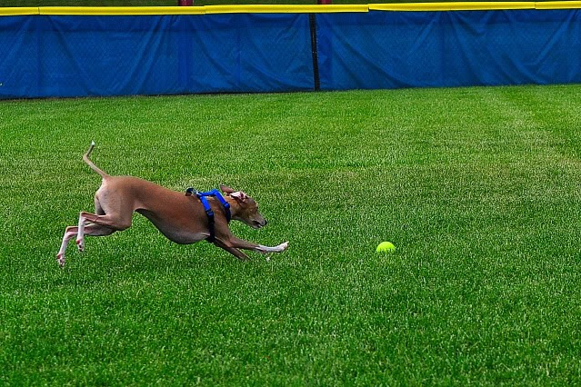 Name:  CSC_0076.jpg
Views: 25
Size:  164.3 KB