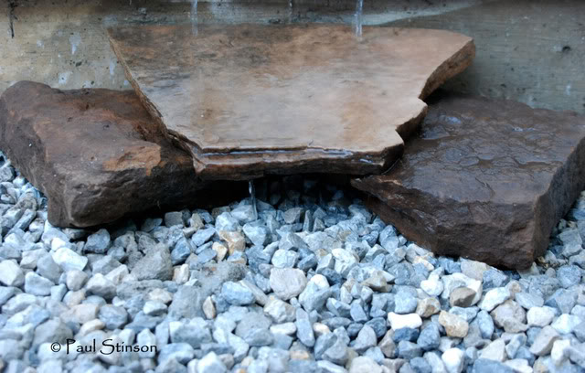 Name:  DSC_1084.jpg
Views: 64
Size:  71.4 KB