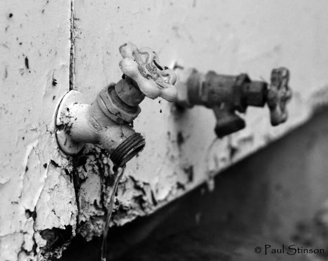 Name:  DSC_1110.jpg
Views: 29
Size:  47.1 KB