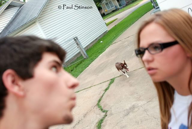 Name:  DSC_1009.jpg
Views: 37
Size:  56.7 KB