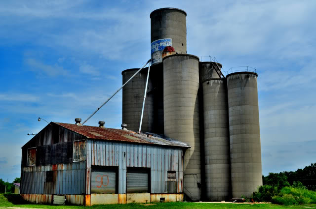 Name:  DSC_0005.jpg
Views: 30
Size:  88.6 KB