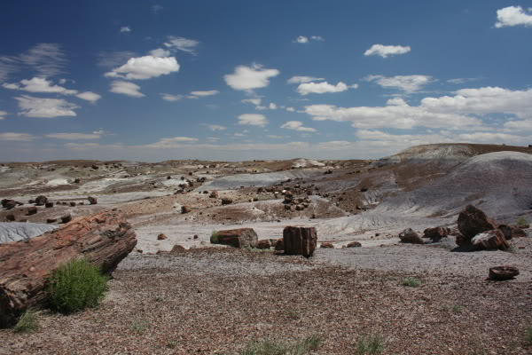 Name: trip_7.jpg
Views: 23
Size: 73.7 KB