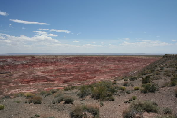 Name:  trip_9.jpg
Views: 23
Size:  50.2 KB