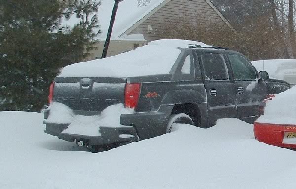 Name:  blizzard.jpg
Views: 223
Size:  45.4 KB