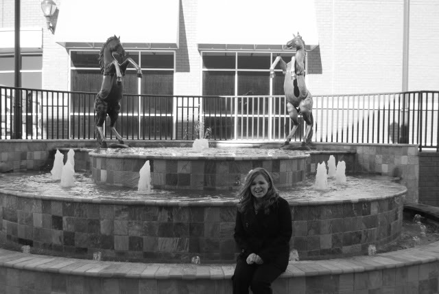 Name:  DSC_0001.jpg
Views: 39
Size:  83.7 KB