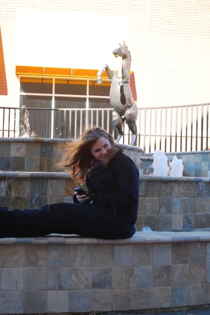 Name:  DSC_0027.jpg
Views: 37
Size:  68.6 KB