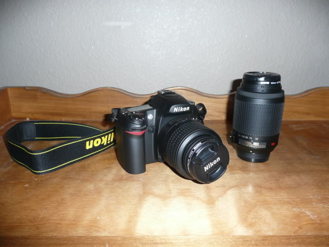 Name:  P1010471.jpg
Views: 90
Size:  56.3 KB