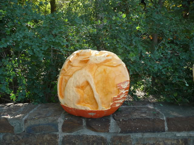 Name:  P1010341.jpg
Views: 34
Size:  98.3 KB