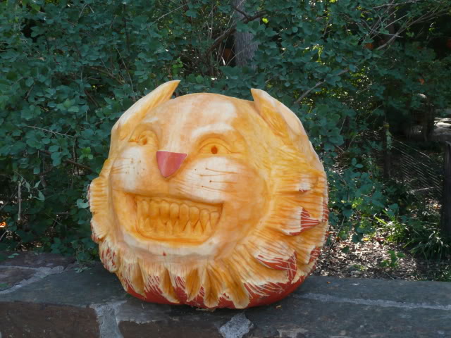 Name:  P1010344.jpg
Views: 40
Size:  81.9 KB