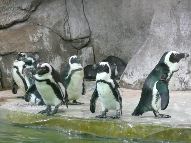 Name:  P1010300.jpg
Views: 36
Size:  68.0 KB