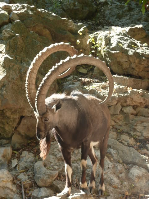 Name:  P1010291.jpg
Views: 34
Size:  80.2 KB