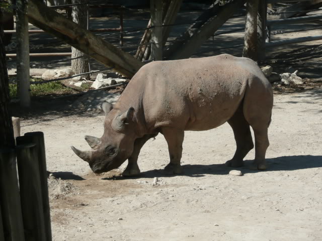 Name:  P1010195.jpg
Views: 37
Size:  71.7 KB