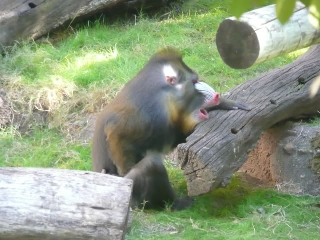 Name:  P1010201.jpg
Views: 36
Size:  67.8 KB