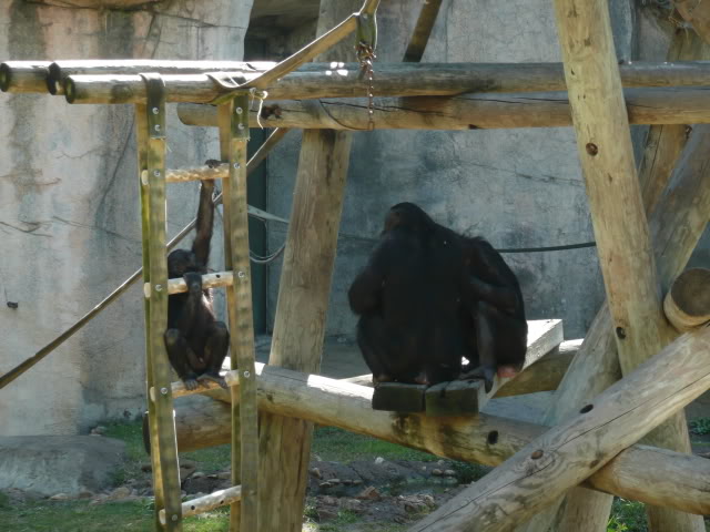 Name:  P1010218.jpg
Views: 40
Size:  63.7 KB