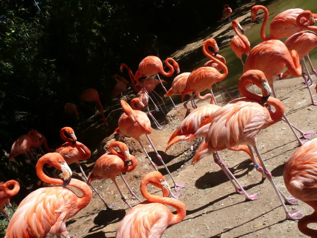 Name:  P1010224.jpg
Views: 38
Size:  97.4 KB