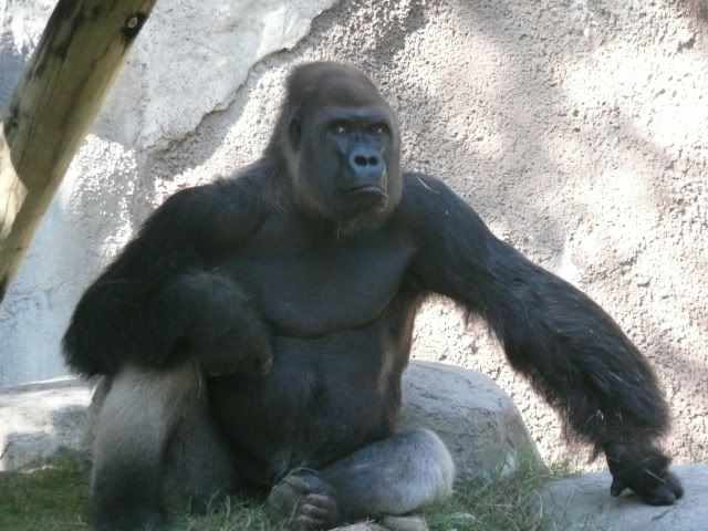 Name:  P1010231.jpg
Views: 37
Size:  72.9 KB