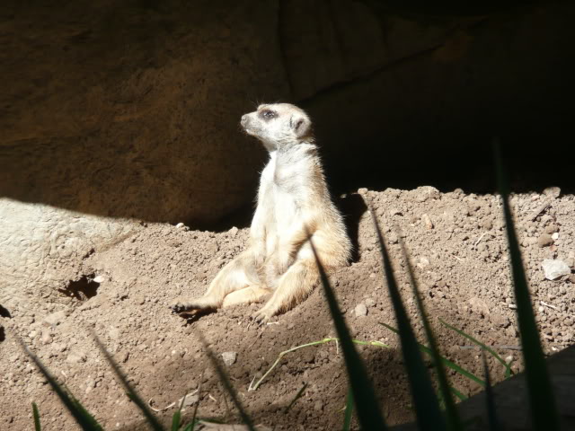 Name:  P1010240.jpg
Views: 88
Size:  77.2 KB