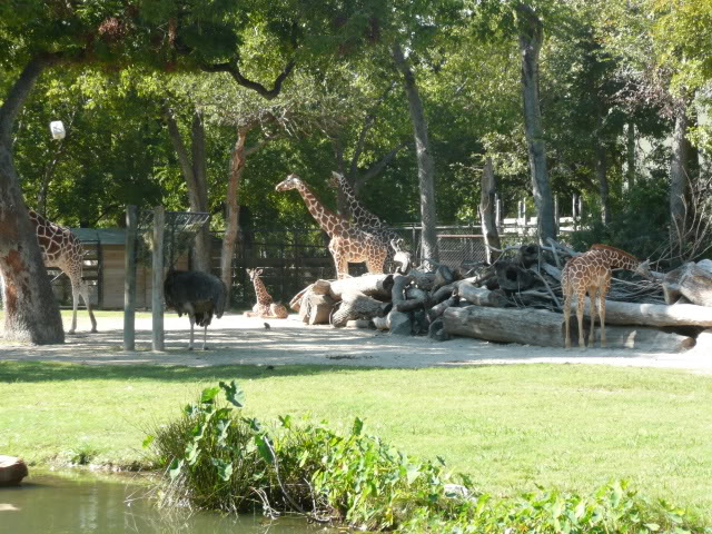 Name:  P1010249.jpg
Views: 34
Size:  122.6 KB