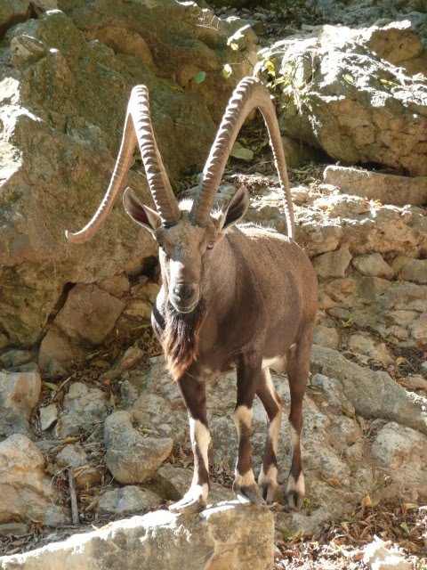 Name:  P1010290.jpg
Views: 36
Size:  102.5 KB