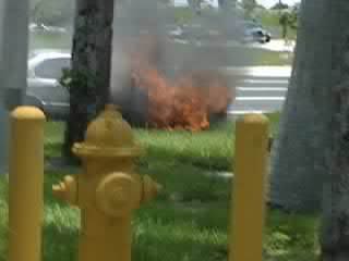 Name:  07-04-08_1331.jpg
Views: 24
Size:  17.0 KB