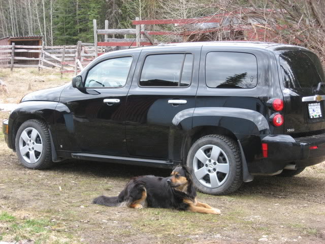 Name:  Carpics006.jpg
Views: 628
Size:  85.2 KB