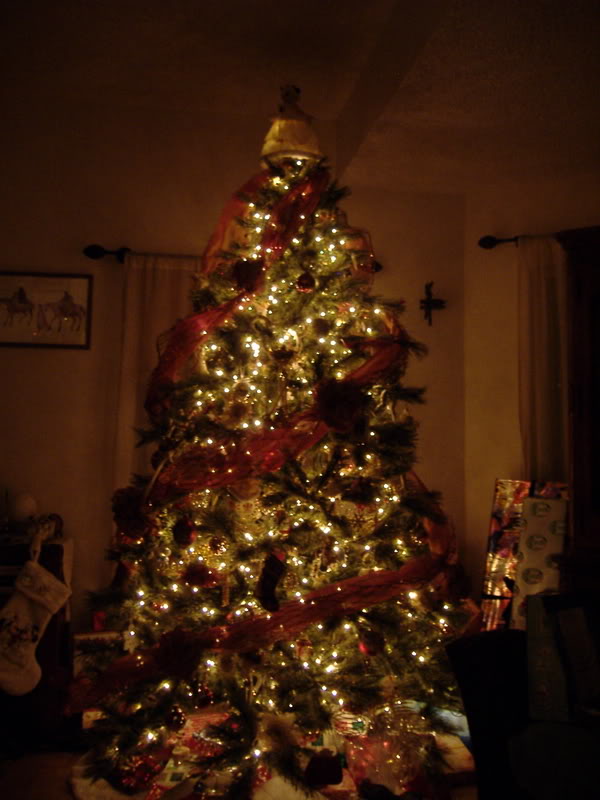 Name:  DSCF1250.jpg
Views: 22
Size:  67.7 KB