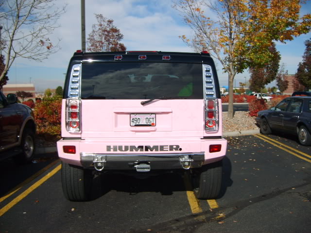 Name:  miscphotos005-1.jpg
Views: 18
Size:  112.9 KB