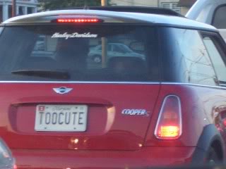 Name:  CIMG6200.jpg
Views: 18
Size:  45.8 KB