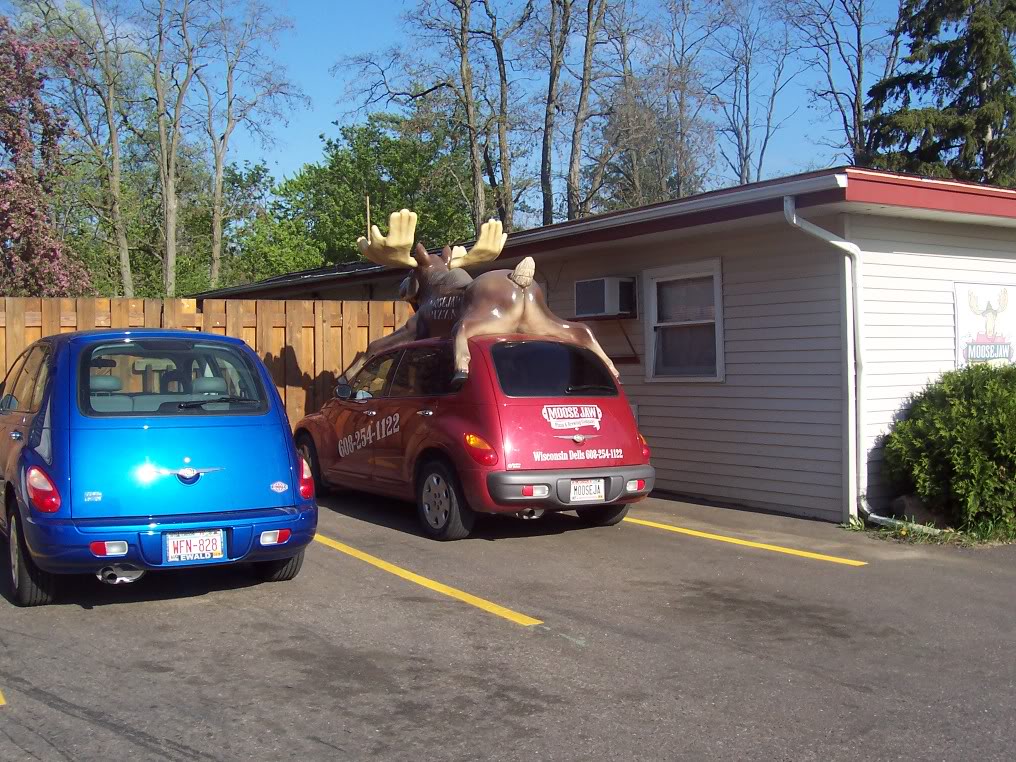 Name:  000_0121.jpg
Views: 59
Size:  209.9 KB