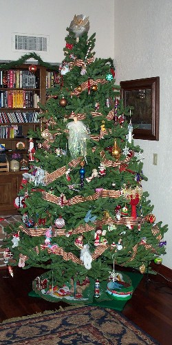 Name:  HiFall06 024.jpg
Views: 287
Size:  64.6 KB