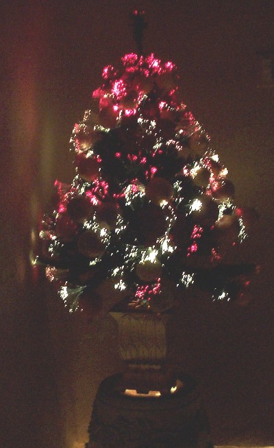 Name:  outside xmas tree.jpg
Views: 267
Size:  65.3 KB