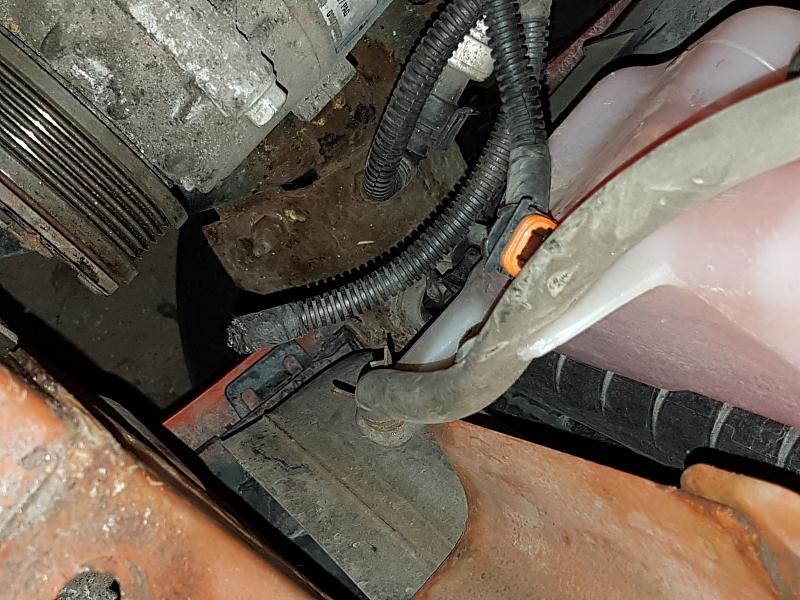 Engine wiring harness-20170114_132051.jpg