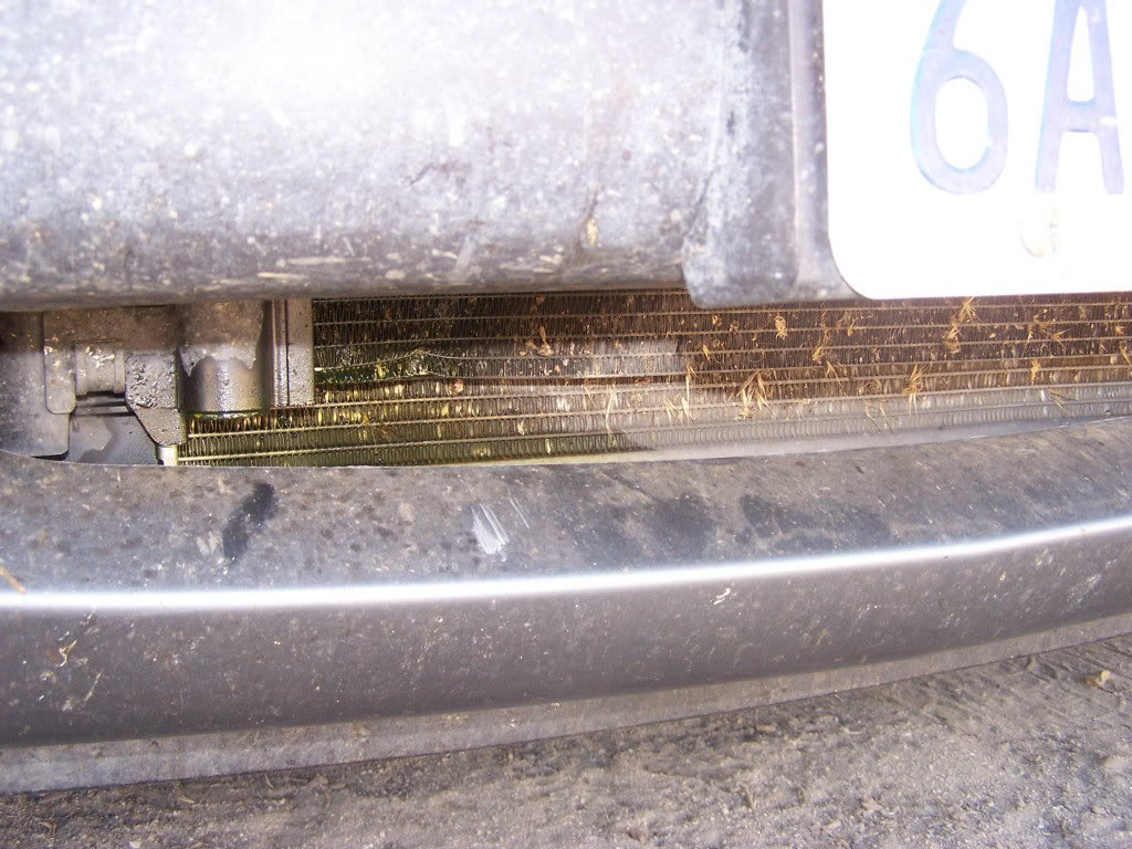 Name:  100_7287.jpg
Views: 259
Size:  149.5 KB