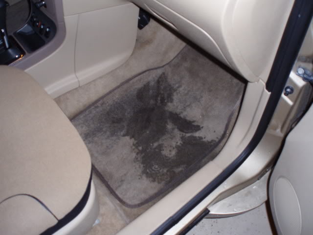 Name: HHRwetfloor1.jpg
Views: 1237
Size: 33.6 KB