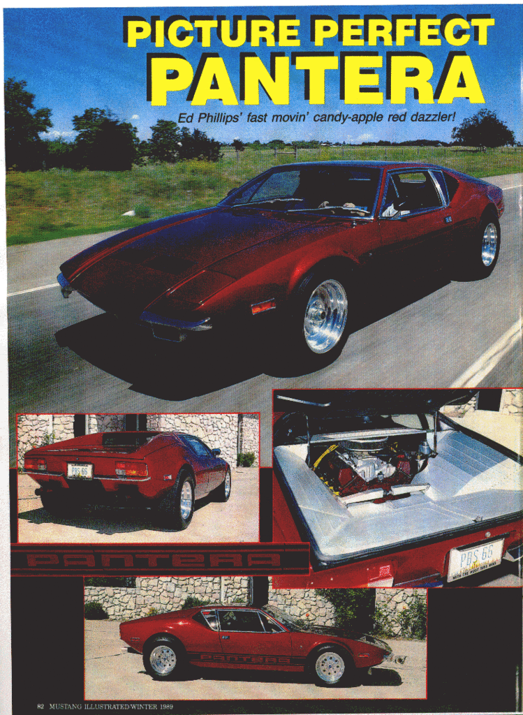 Name:  panterainmustangillustrated1.gif
Views: 71
Size:  439.4 KB